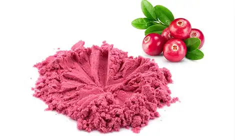 Health Benefits of Cranberry Fruit Powder Explained